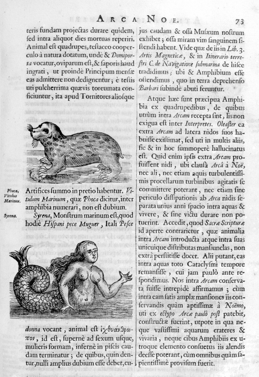 Mitikus lények, 1675. alkotó: Athanasius Kircher