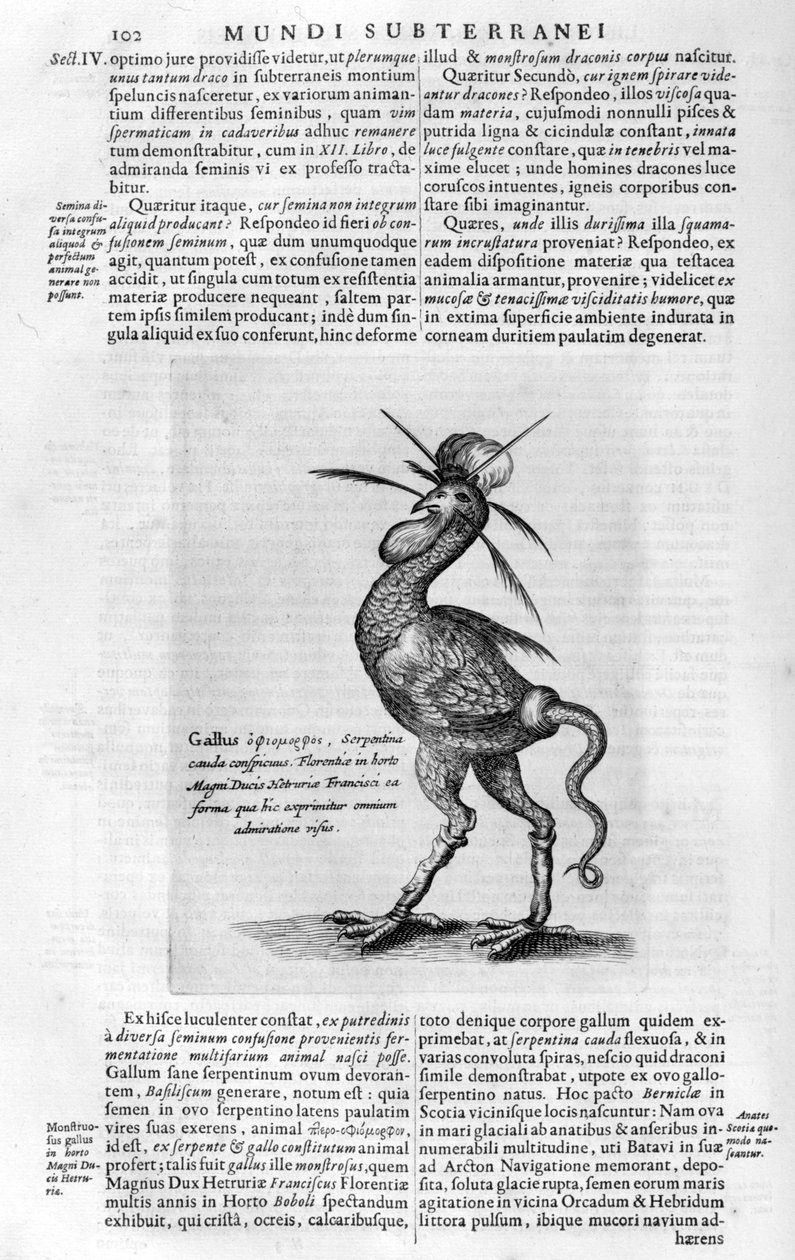 Mitikus lények, 1678. alkotó: Athanasius Kircher