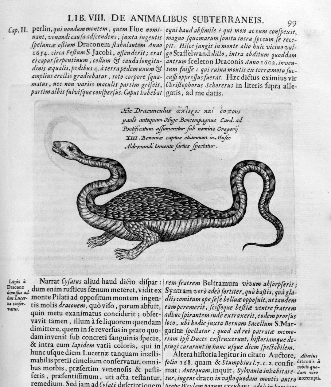 Kis sárkány, 1678 alkotó: Athanasius Kircher