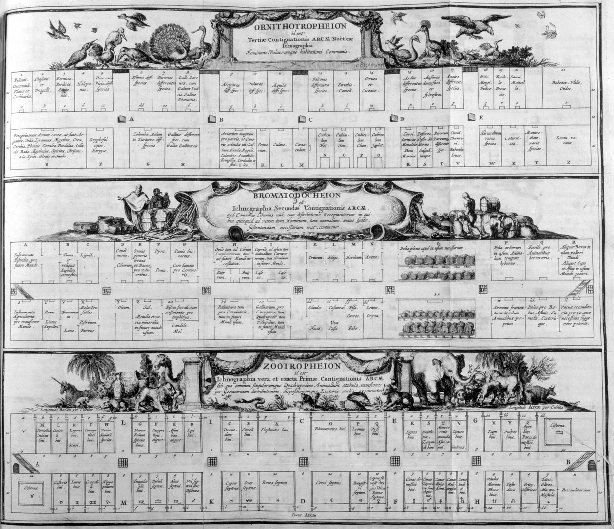 Fajtáblázat, 1765. alkotó: Athanasius Kircher