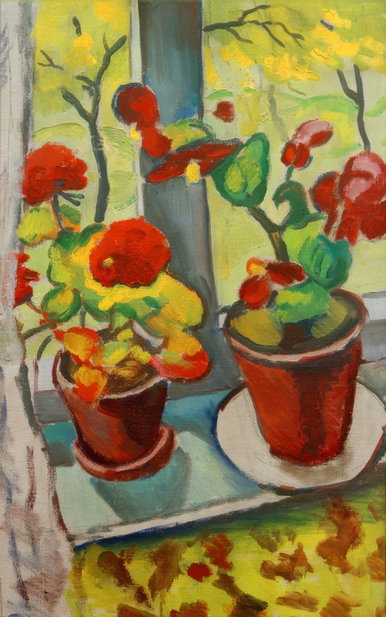 Virágok az ablak mellett (begónia cserépben I) alkotó: August Macke