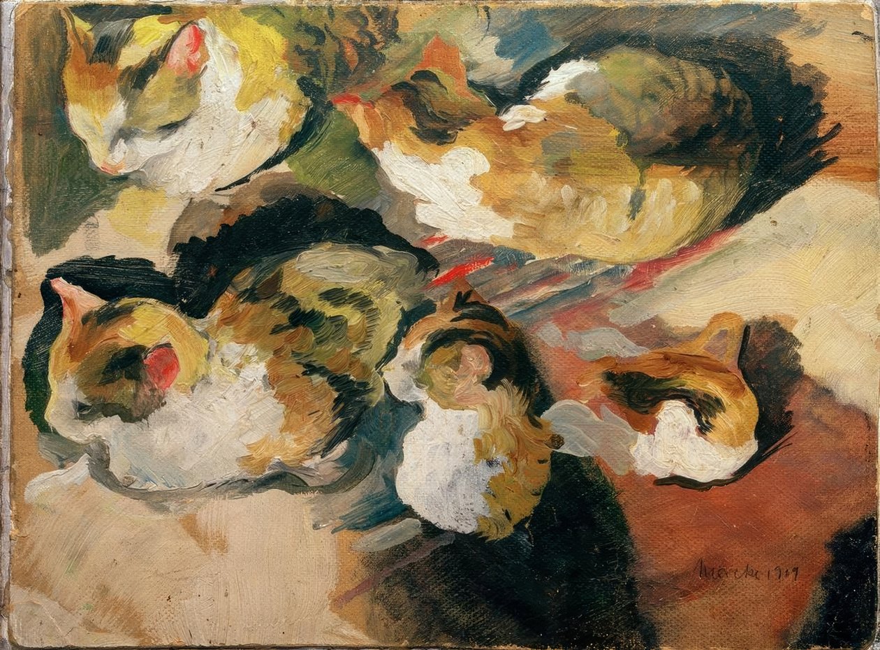 Macska tanulmányok alkotó: August Macke