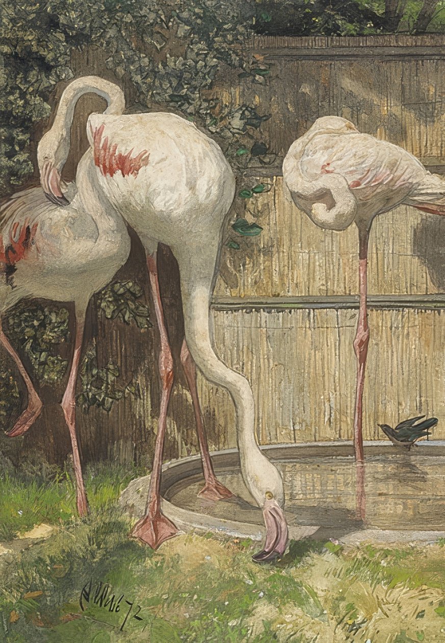 Három flamingó egy víztónál. 1872 alkotó: August Allebe