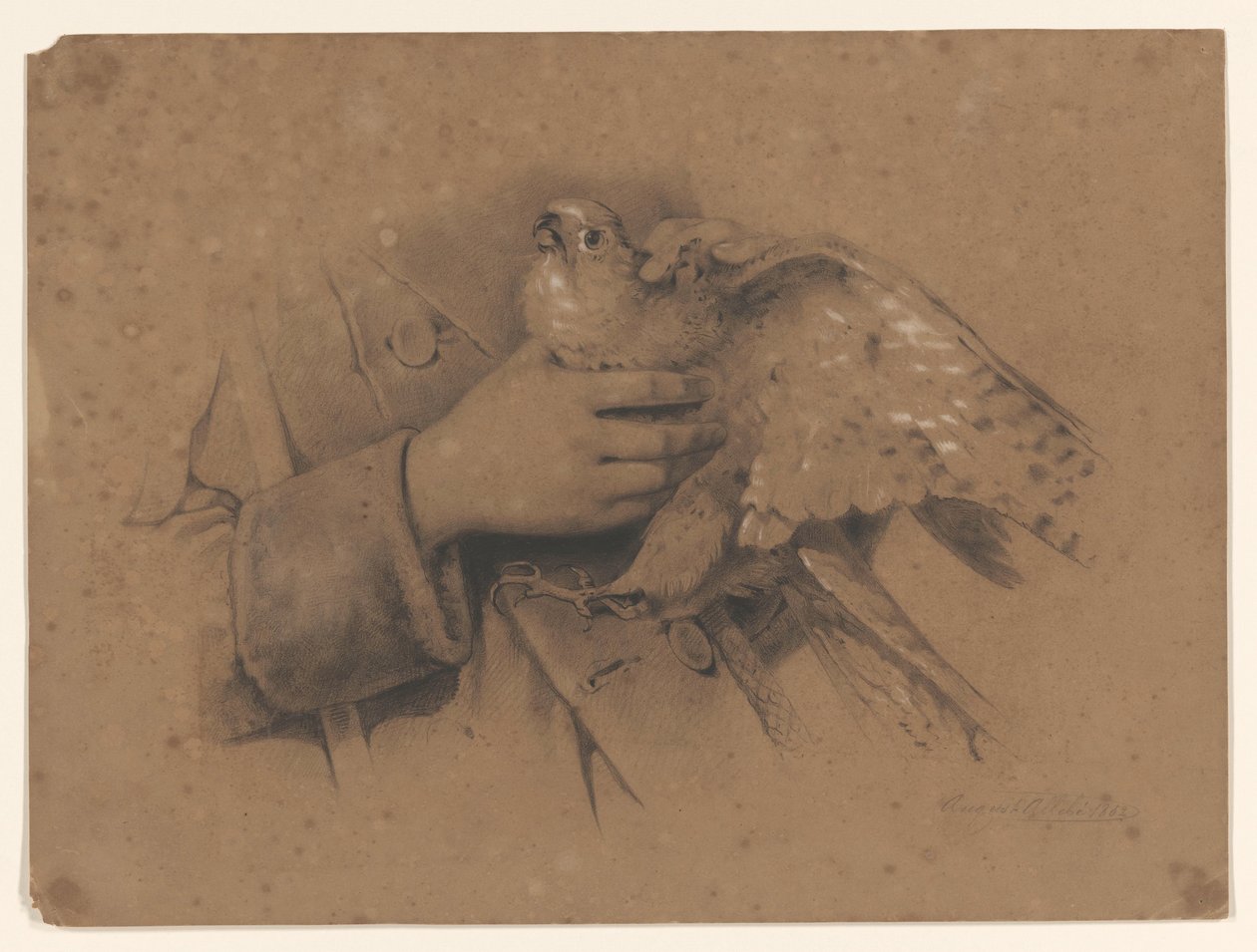 Kestrel kezébe került alkotó: August Allebe