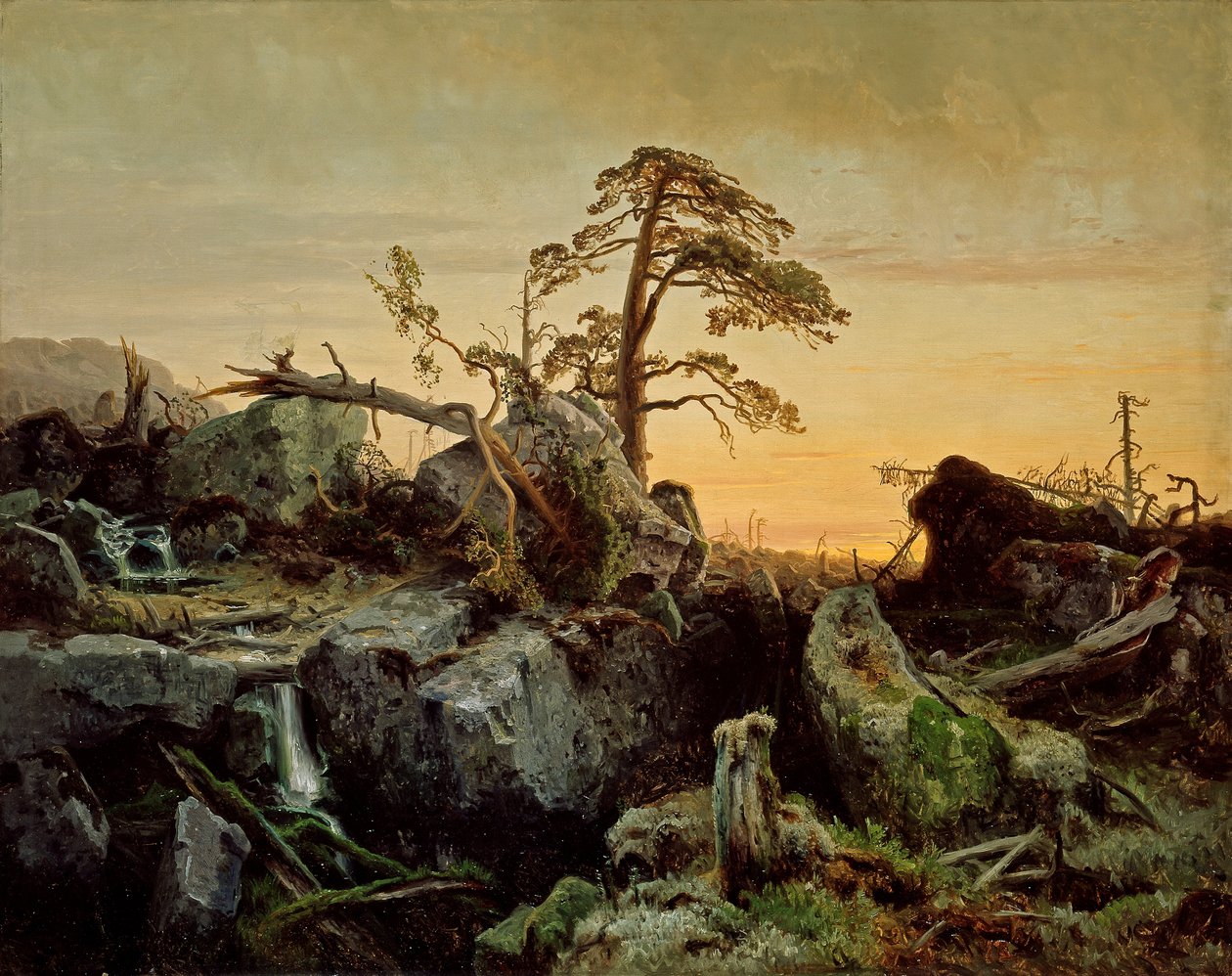 Haldokló dzsungel alkotó: August Cappelen