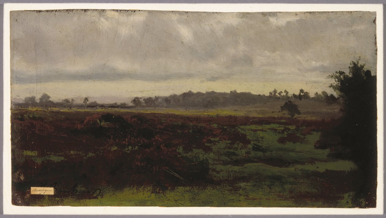 Mocsárvidék, 1850-es évek közepe (olaj, papír) alkotó: Auguste Francois Bonheur