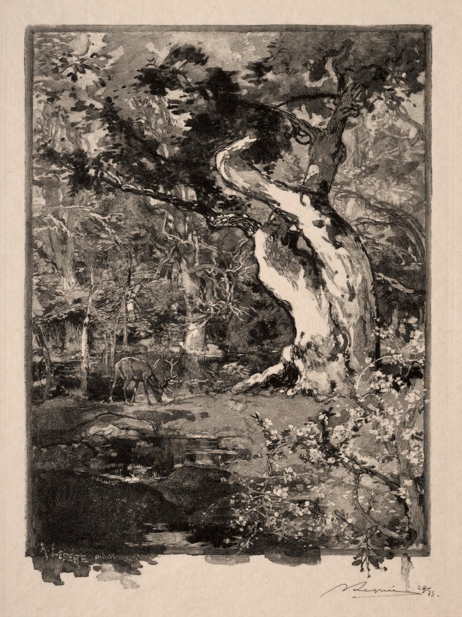A Clovis, Plateau de Bellecroix, 1890. alkotó: Auguste Louis Lepère