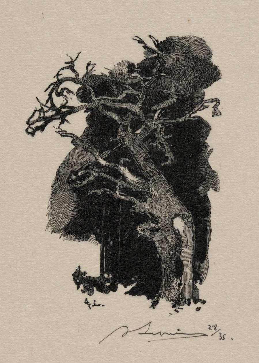 A dühöngő. alkotó: Auguste Louis Lepère