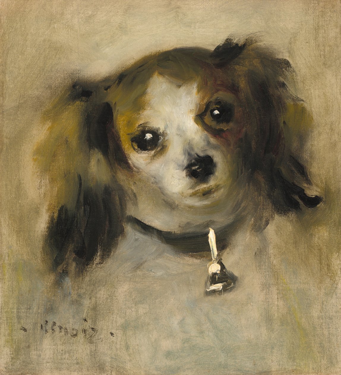 Egy kutya feje alkotó: Auguste Renoir