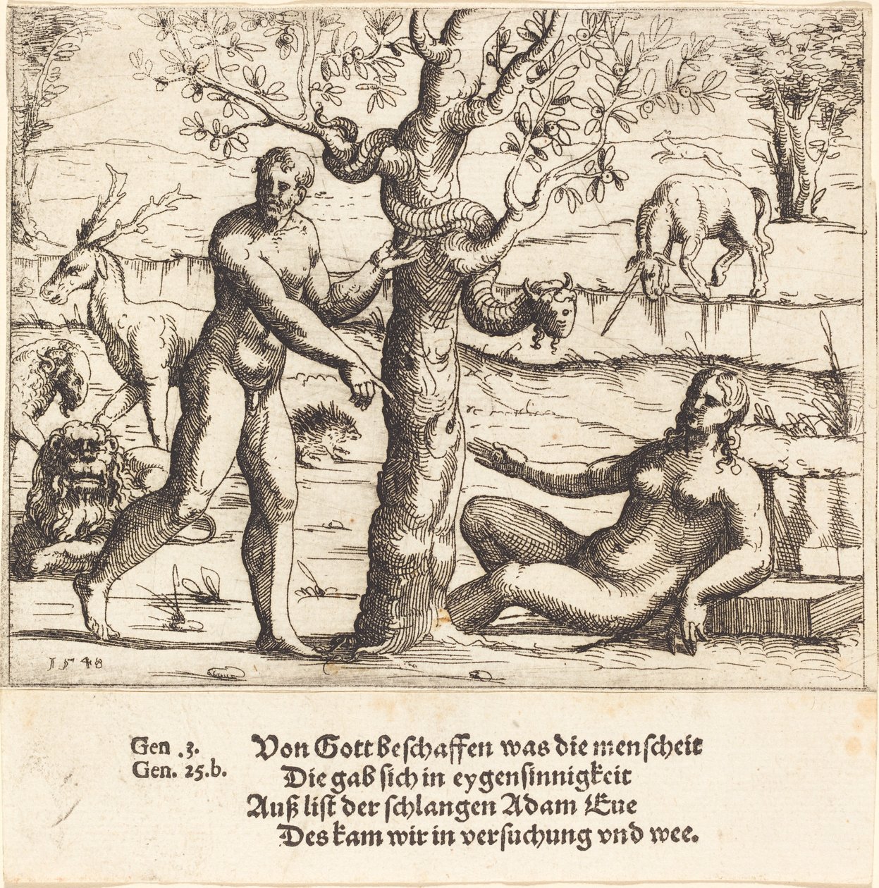Éva megkísértése alkotó: Augustin Hirschvogel