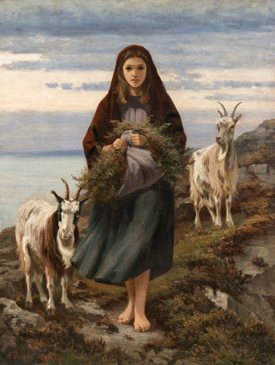 Connemara lány alkotó: Augustus Nicholas Burke