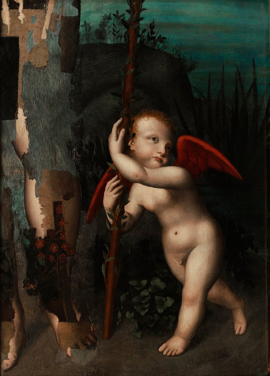 Cupido mirtusszal alkotó: Aurelio Luini