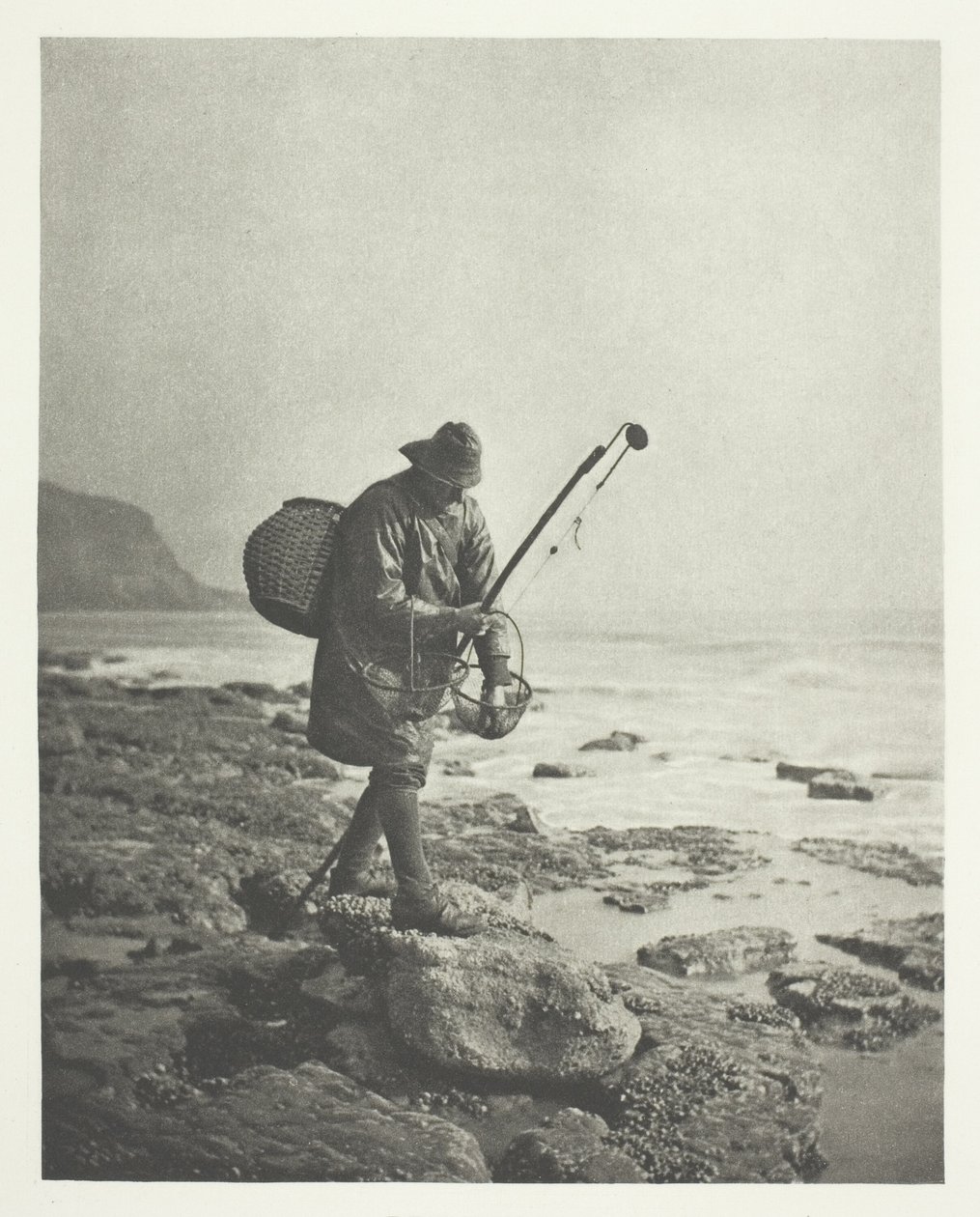 Garnélarák alkotó: B. Gay Wilkinson