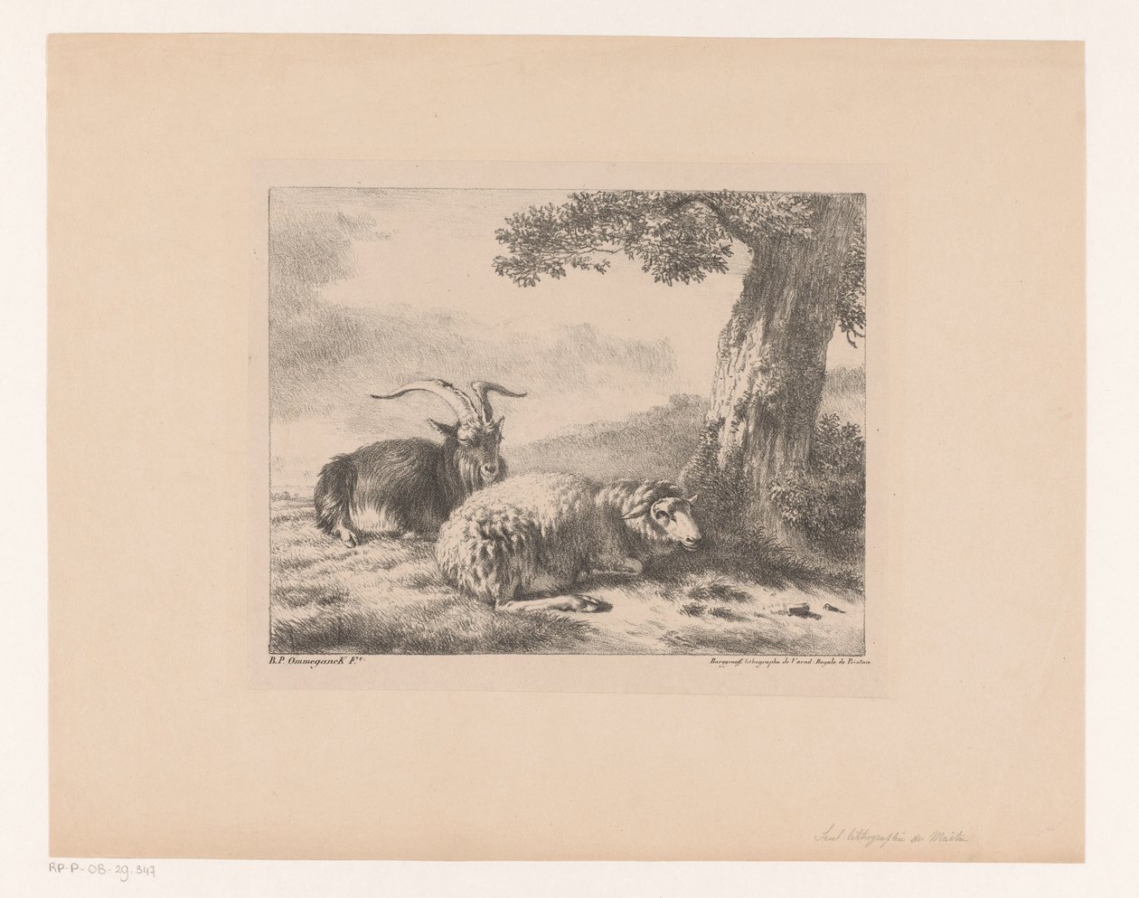 kecske és juh alkotó: Balthasar Paul Ommeganck