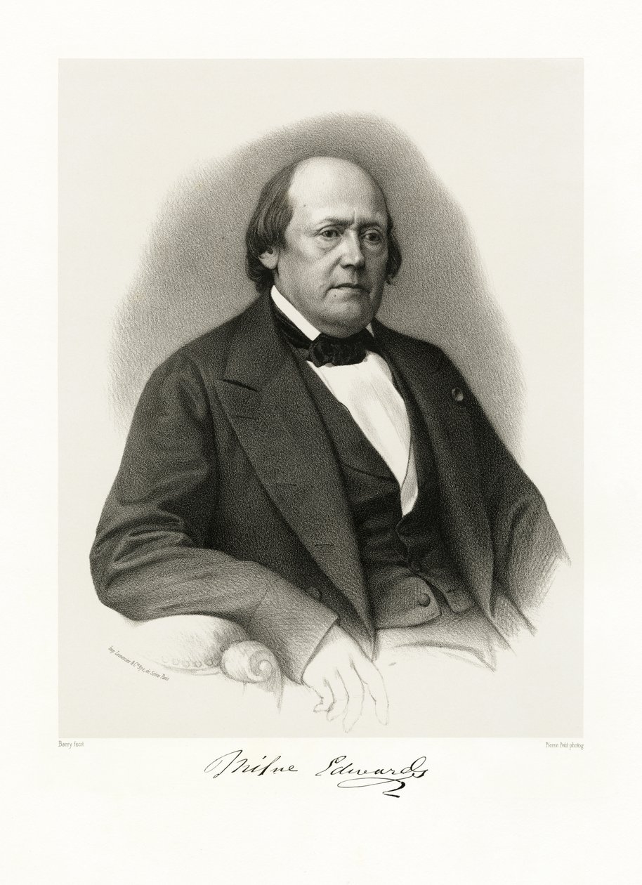 Henri Milne Edwards, 1865-66 alkotó: Barry