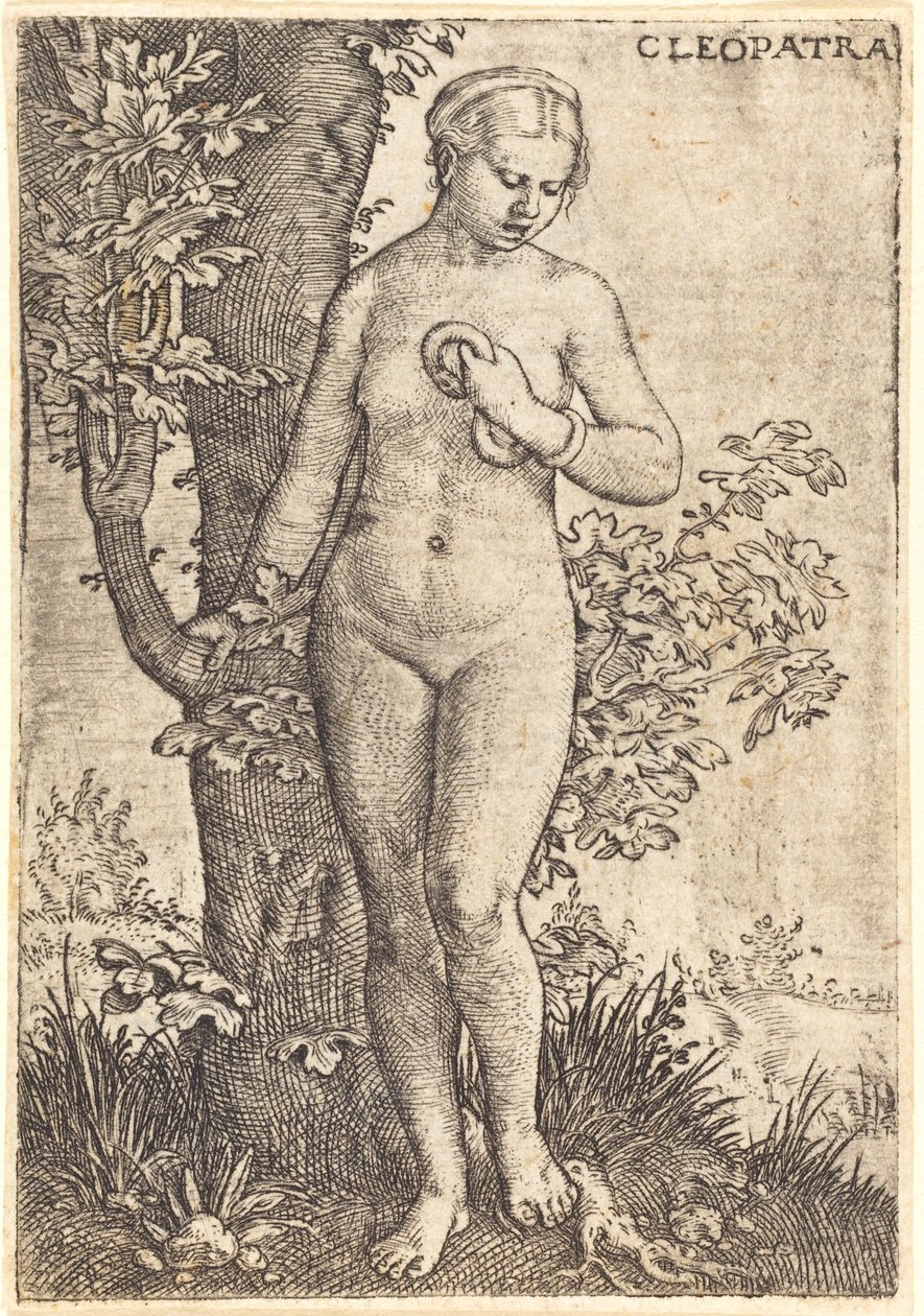 Kleopátra alkotó: Barthel Beham