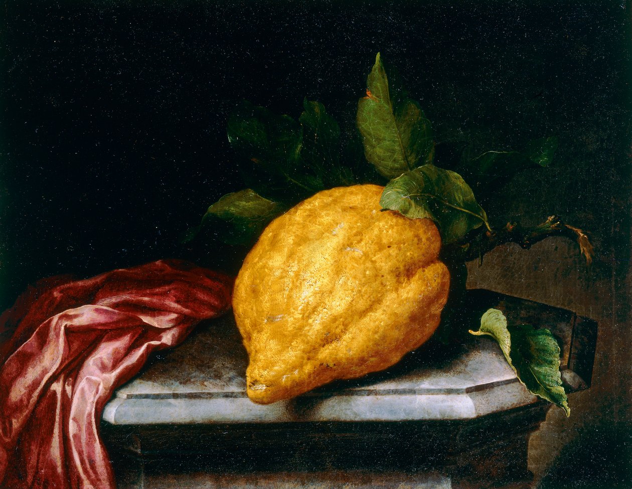 Citrom alkotó: Bartolomeo Bimbi