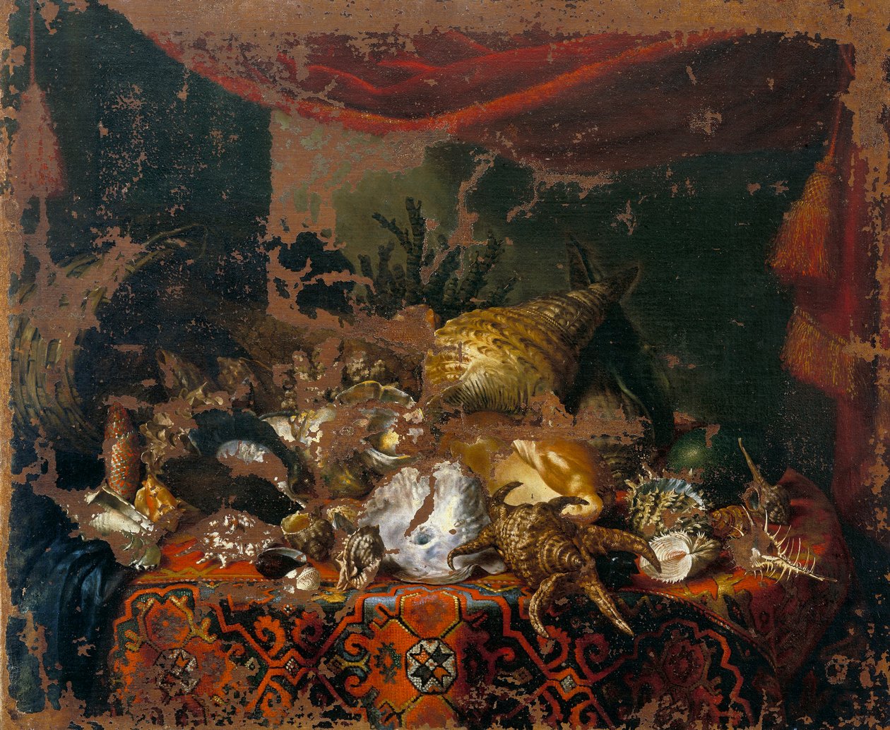 Kagylók alkotó: Bartolomeo Bimbi