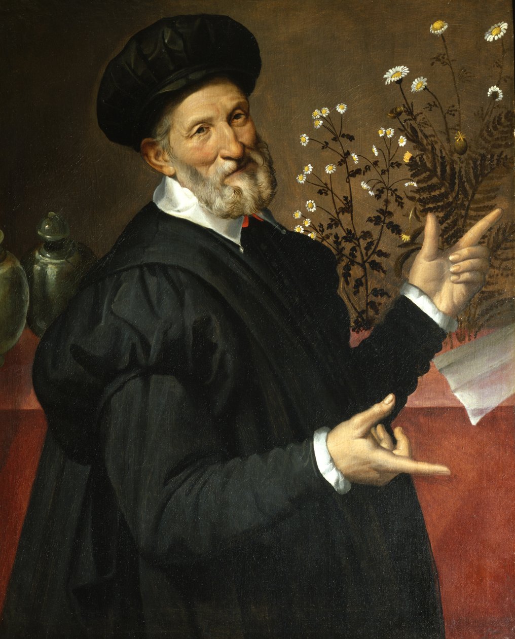 A botanikus, 1570 alkotó: Bartolomeo Passarotti