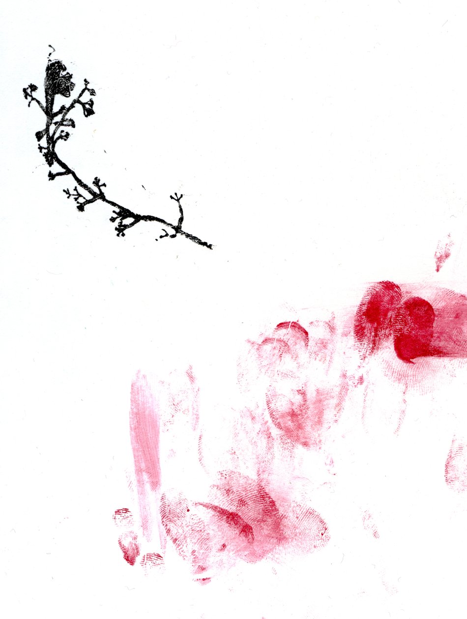 Lichen {Fay-erie Dust}, 2014 (fametszet és akvarell, papír) alkotó: Bella Larsson