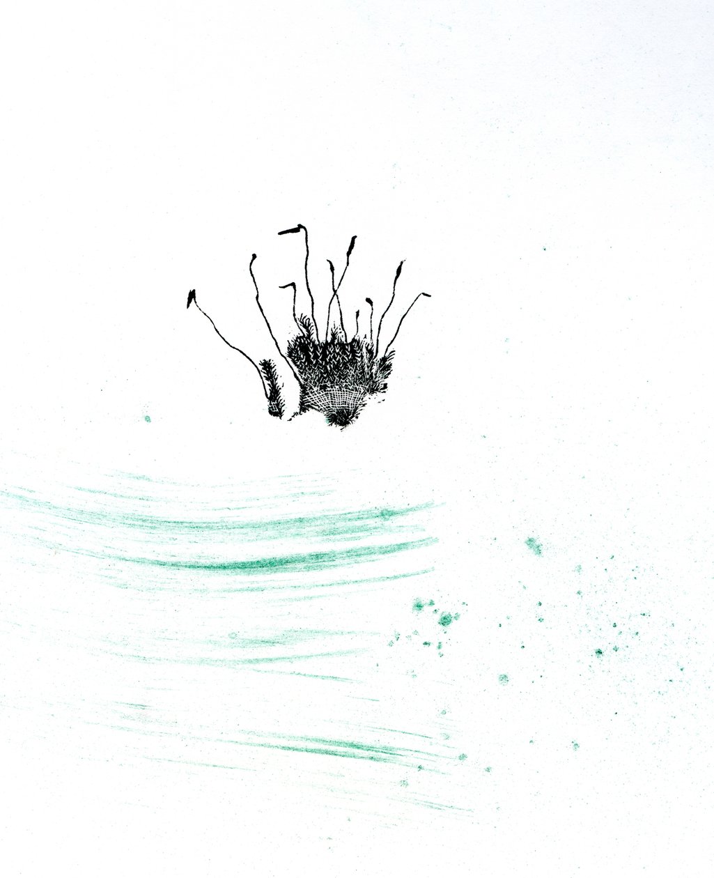 Moss {Fay-erie Dust}, 2014 (fametszet és pigment, papír) alkotó: Bella Larsson