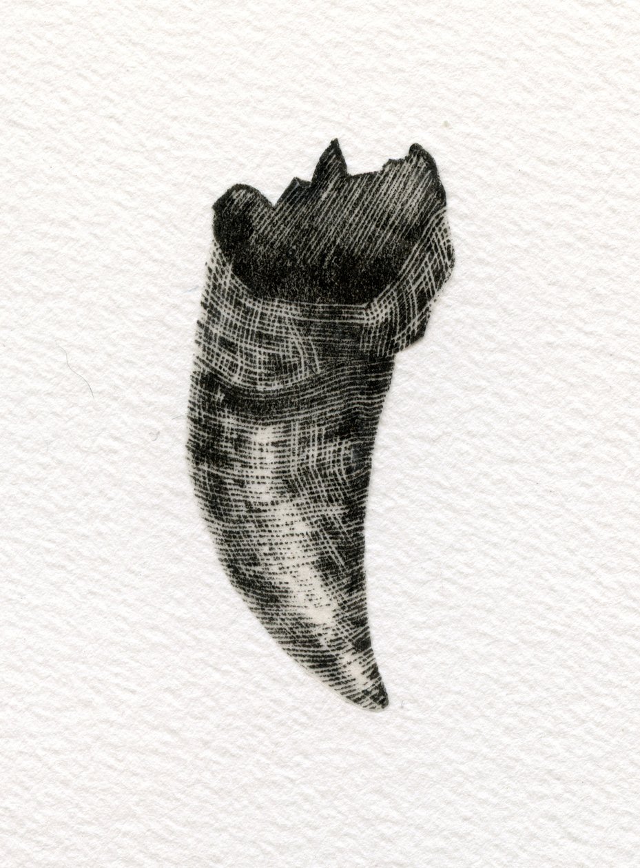 Macskafog, 2014, (fametszet papíron) alkotó: Bella Larsson
