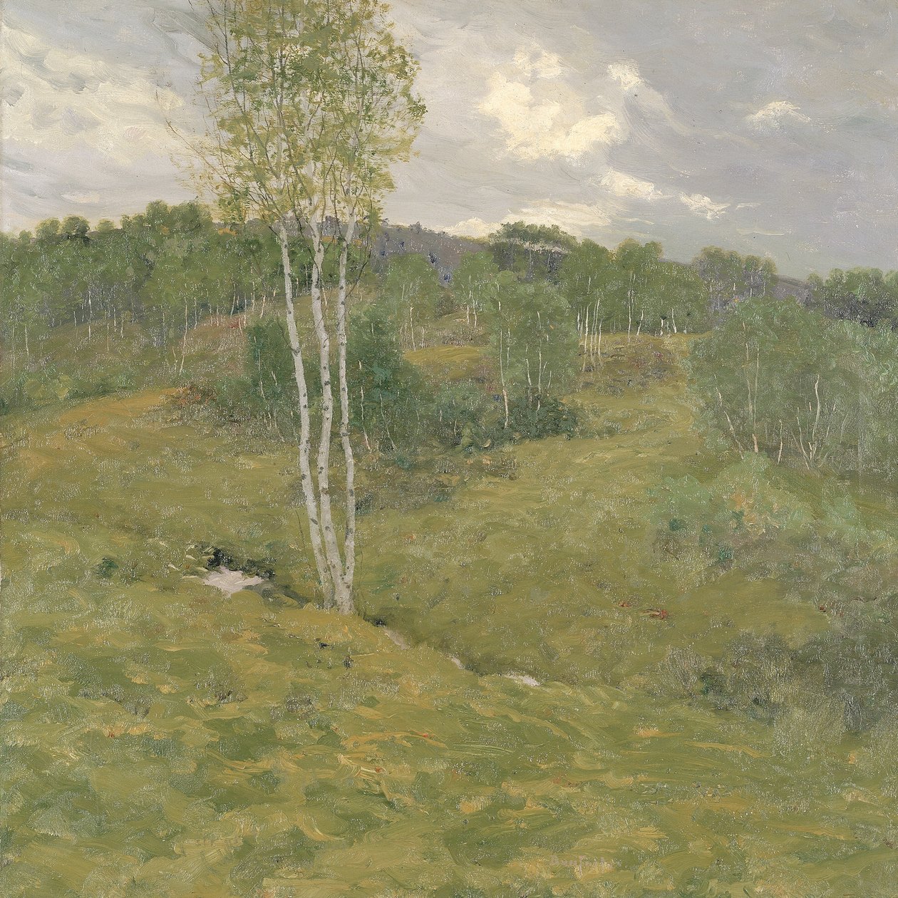 Birch-Clad Hills, kb. 1908. alkotó: Ben Foster