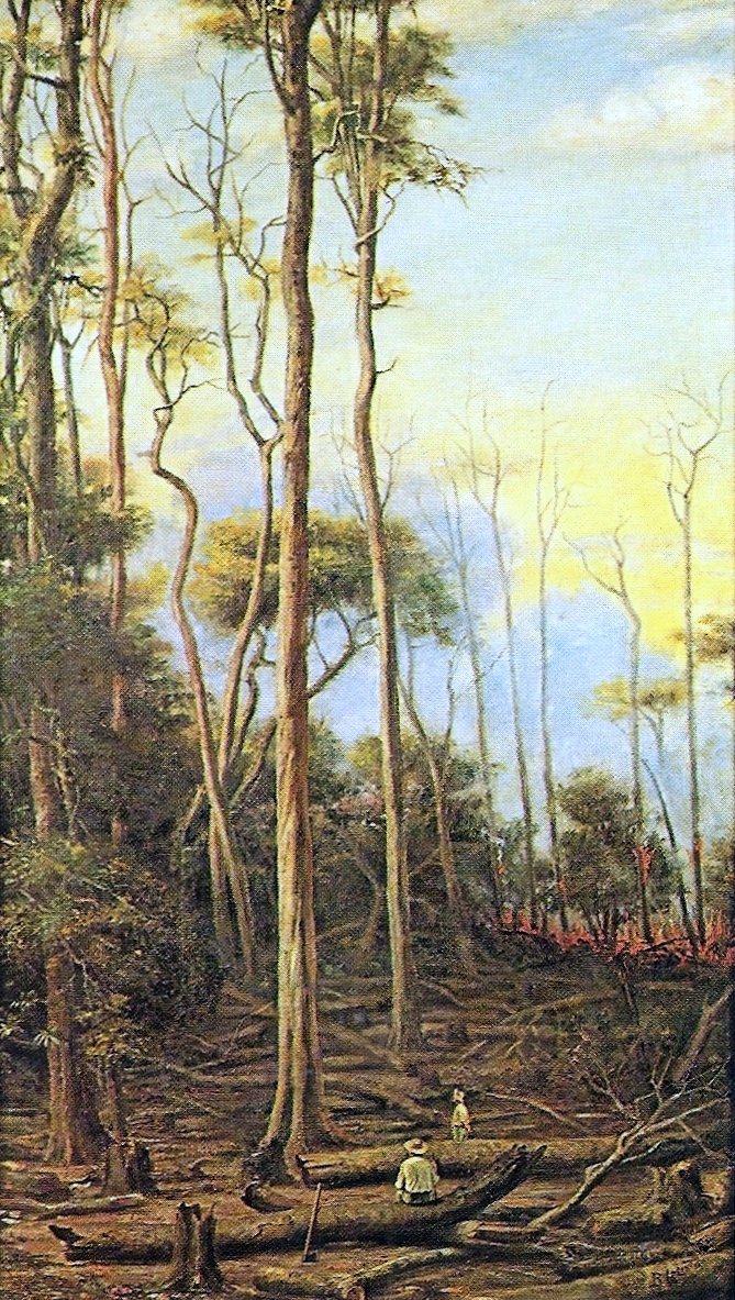 Paroba treesnPortugues: As Perobeirasn alkotó: Benedito Calixto