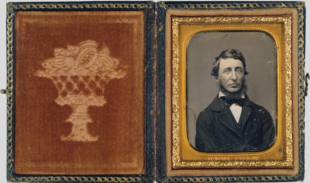 Henry David Thoreau alkotó: Benjamin D. Maxham