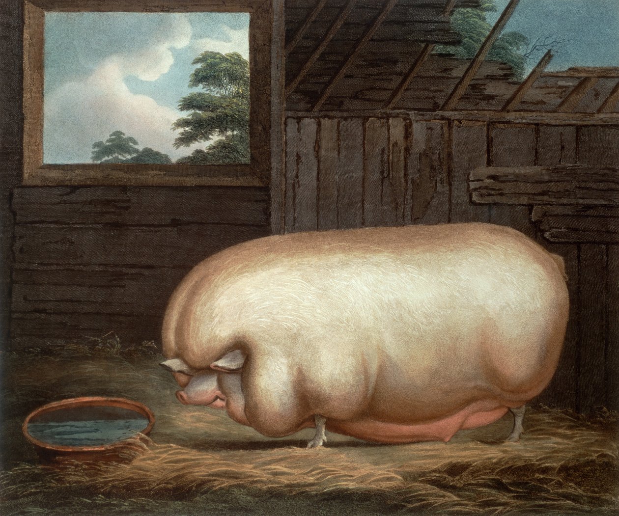 Ez a figyelemre méltó állat..., John Whessel (kb. 1760-1823), 1808. alkotó: Benjamin Gale