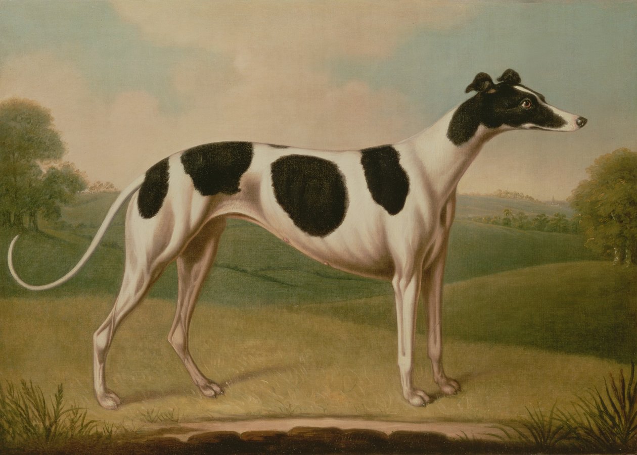 Agár, 1800 alkotó: Benjamin Killingbeck