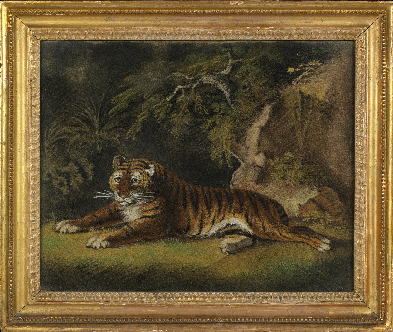 Tigris a dzsungelben (homokos kép a fedélzeten) alkotó: Benjamin Zobel