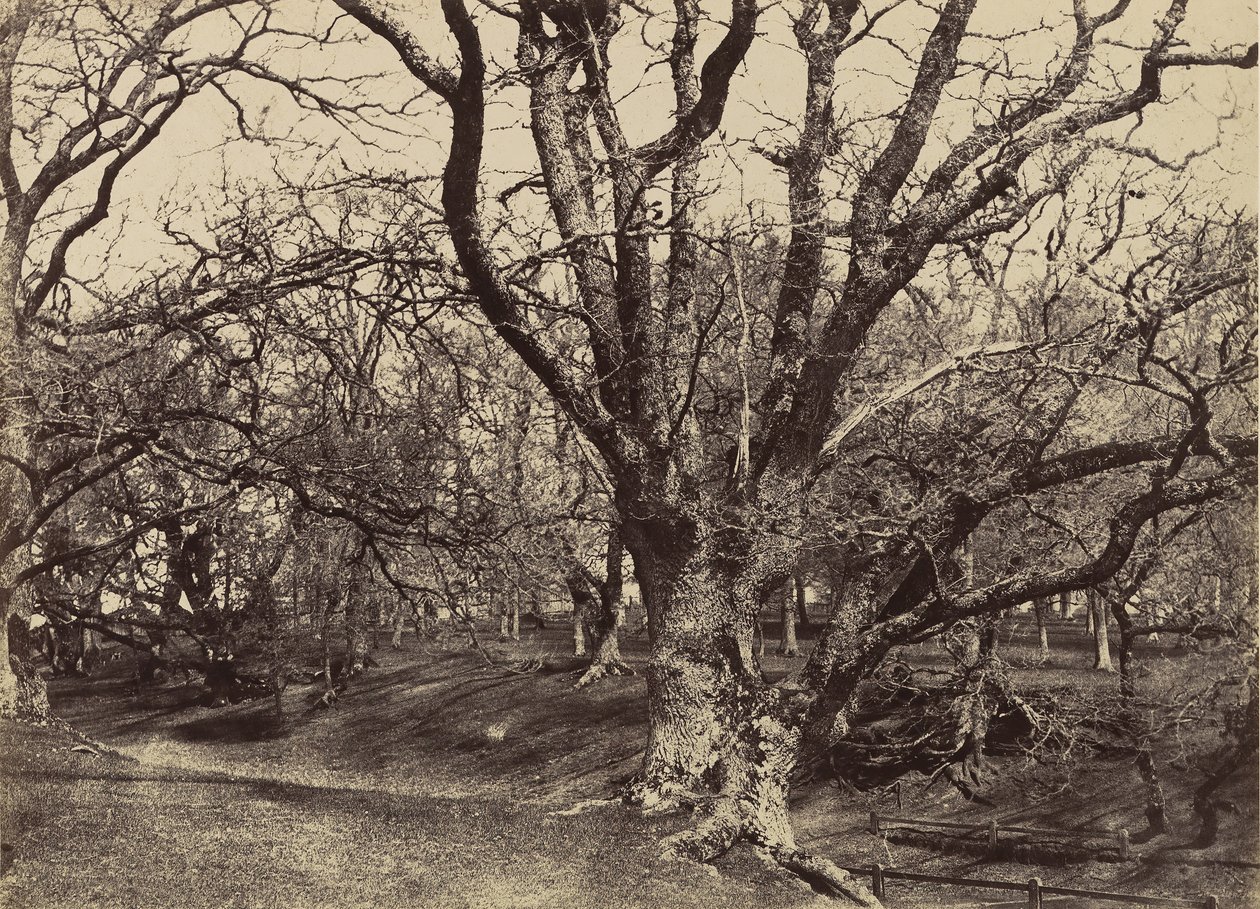 Pepperharrow Park, Surrey, 1852-54. alkotó: Benjamin Brecknell Turner