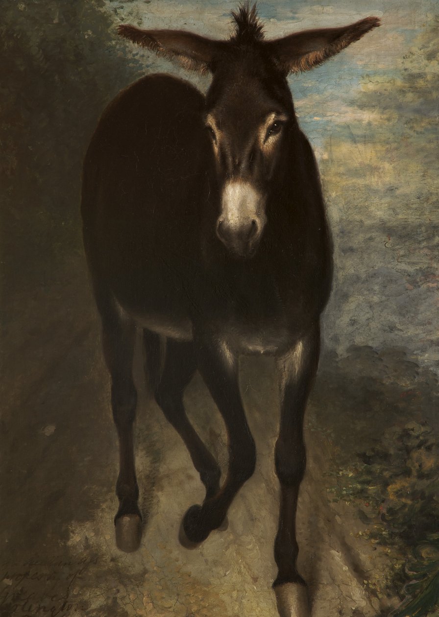 Egy szicíliai szamár alkotó: Benjamin Haydon