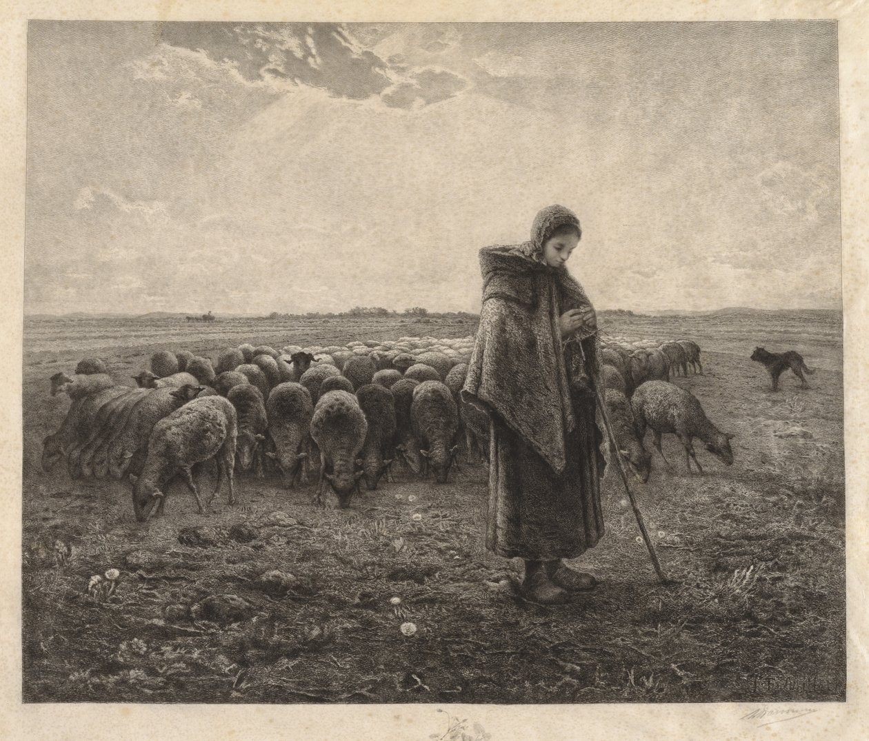 A juhakol alkotó: Benjamin Louis Auguste Damman
