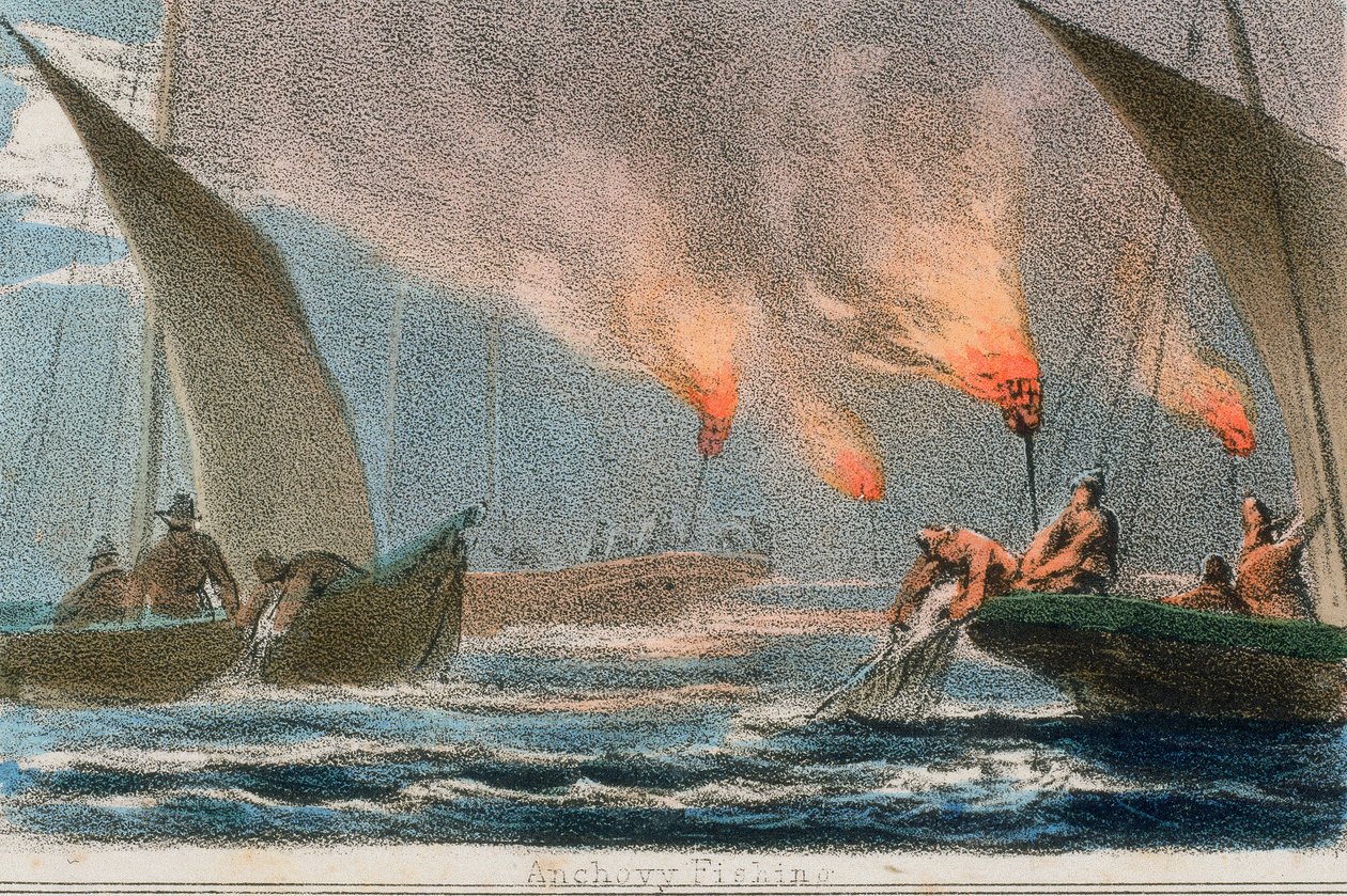 "Szardellahalászat", 1845 alkotó: Benjamin Waterhouse Hawkins