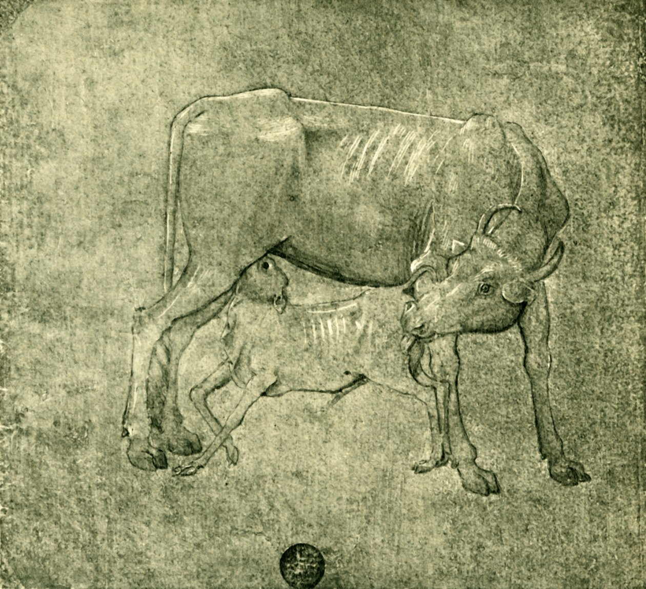 Tehén és borjú, 15. század közepe-vége, 1943. alkotó: Benozzo Gozzoli