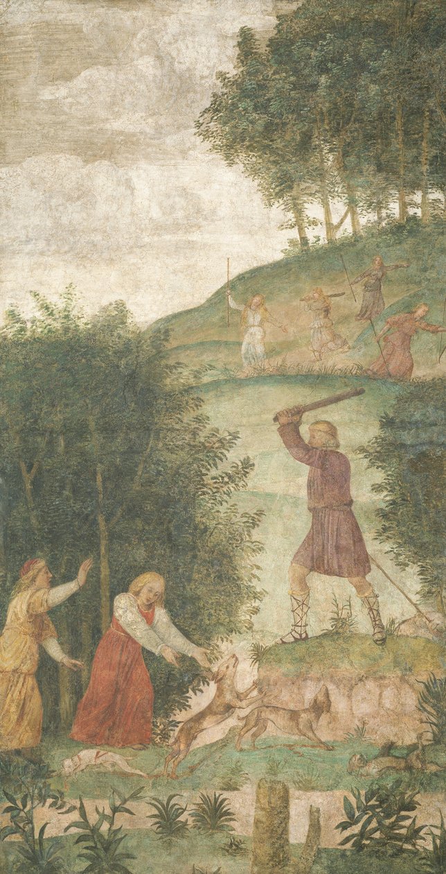 Cephalus megbüntetett a vadászatkor alkotó: Bernardino Luini