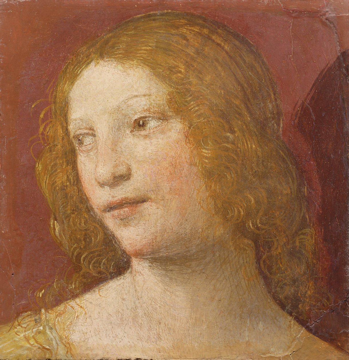 Egy fiatal nő feje alkotó: Bernardino Luini