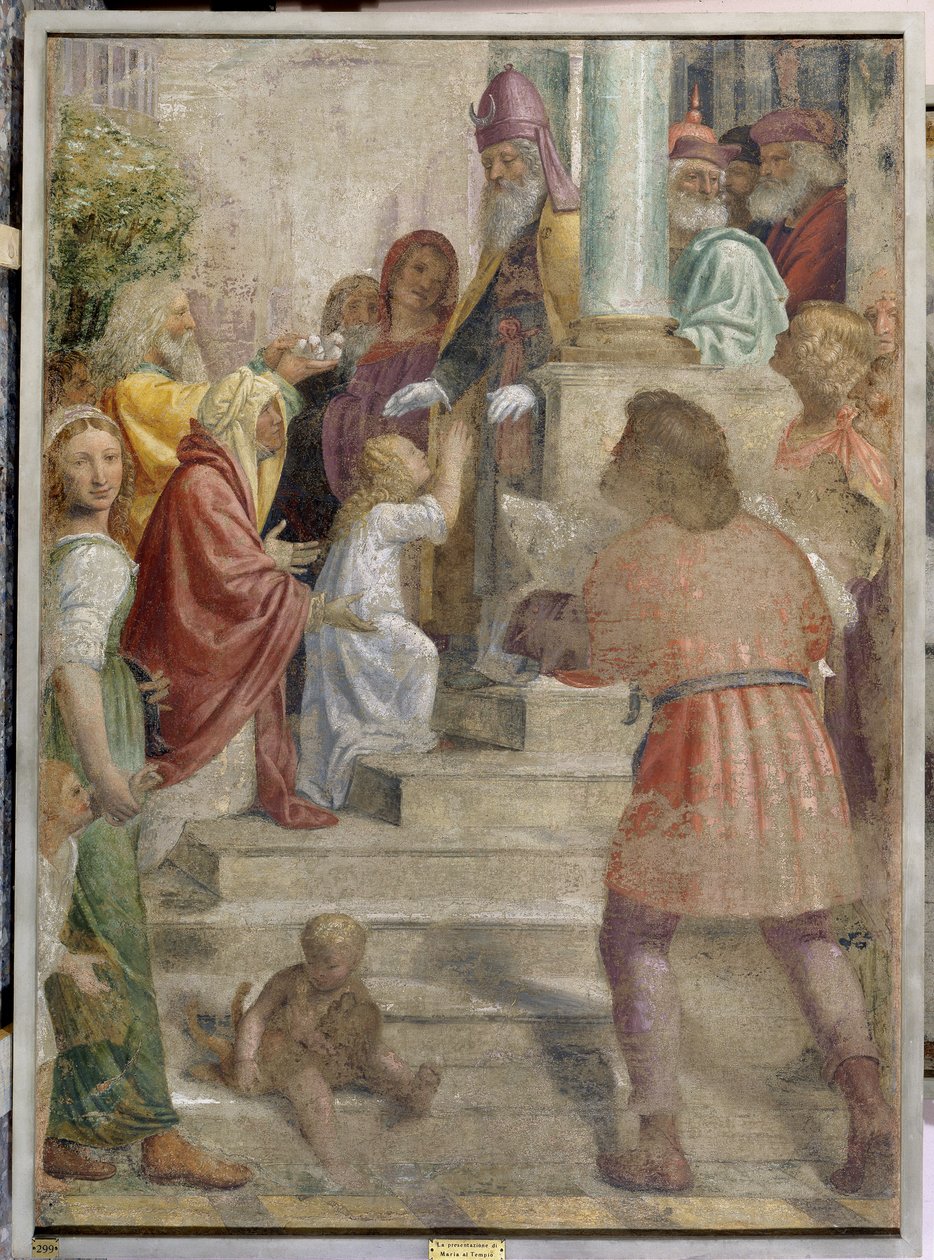 Mária bemutatása a templomban alkotó: Bernardino Luini
