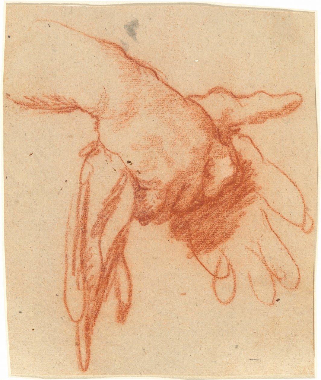 Egy kezében üres kesztyű alkotó: Bernardo Strozzi