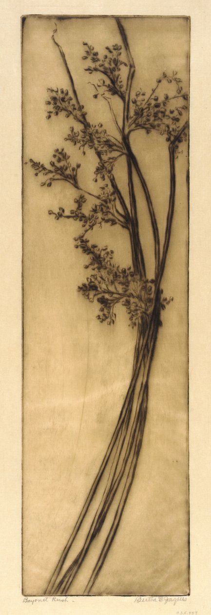 Bayonet Rush alkotó: Bertha E. Jaques