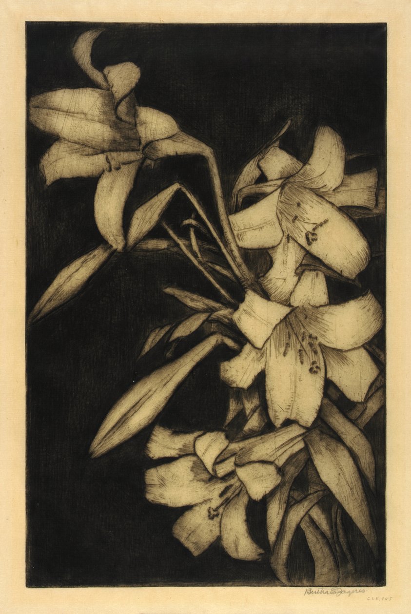 Húsvét, vagy Madonna, liliom alkotó: Bertha E. Jaques