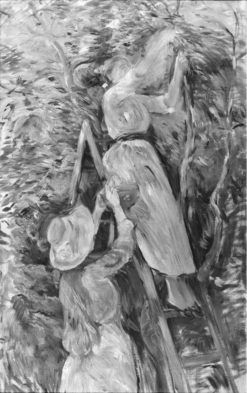 Cseresznyeszedés, 1891 (lásd még 18907) alkotó: Berthe Morisot