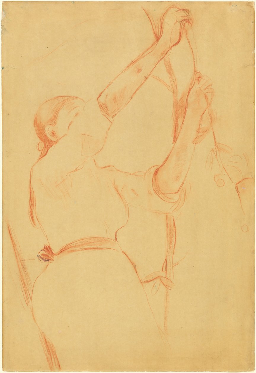 Cseresznyét szedő lány, 1891. alkotó: Berthe Morisot