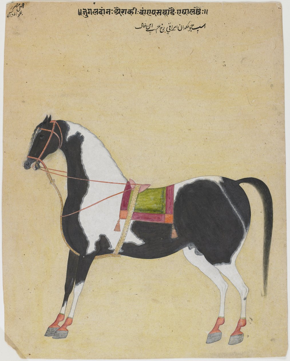 Jukaldan Ayragi mén, 1730 körül (papíron átlátszatlan wc) alkotó: Bhavani Das