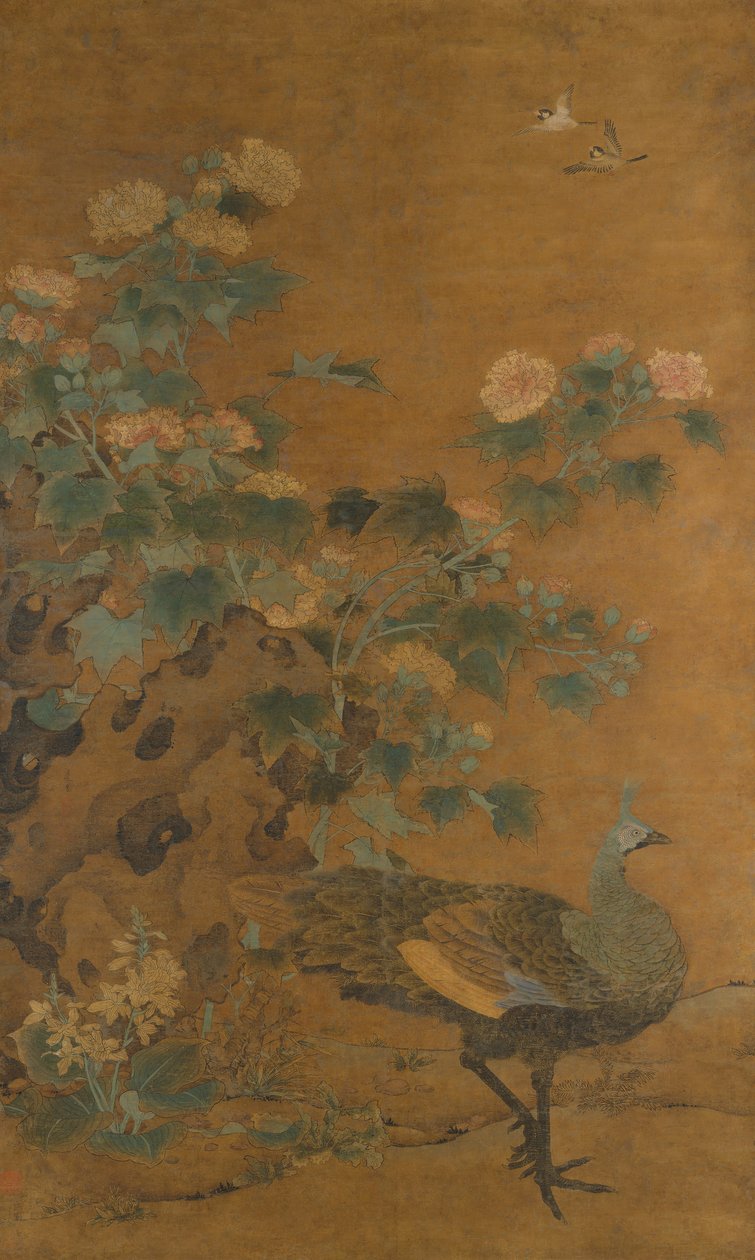 Páva és Hollyhocks, 14. század közepe. alkotó: Bian Lu