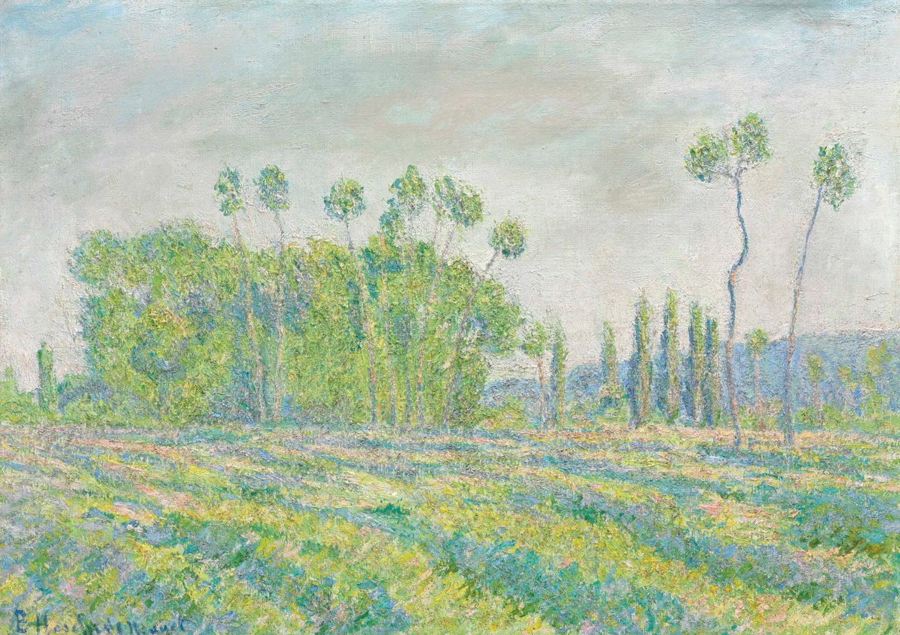 Franciául:  Giverny, Peupliers des Ajoux alkotó: Blanche Hoschede Monet