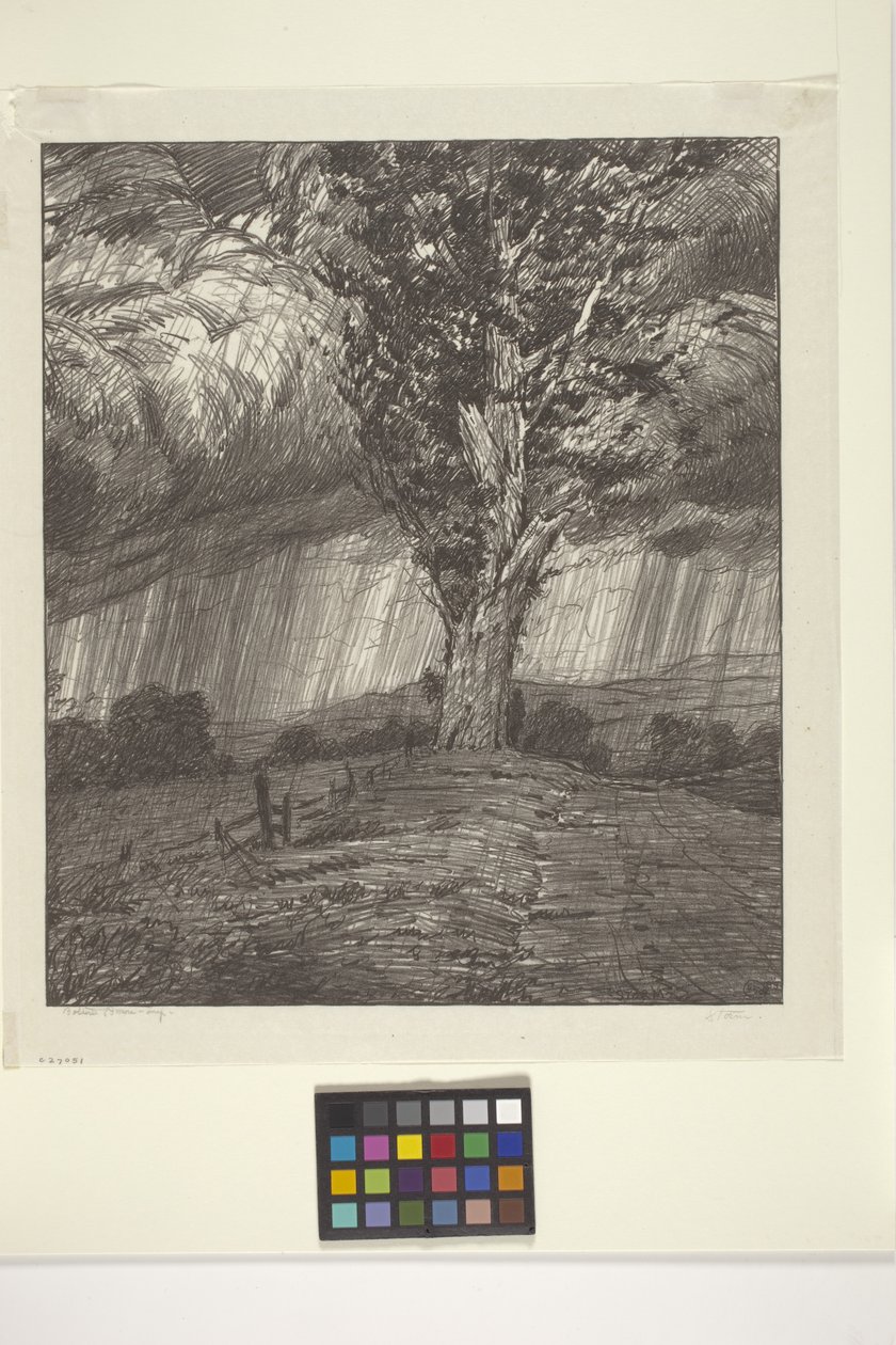 Vihar (tinta papíron) alkotó: Bolton Coit Brown