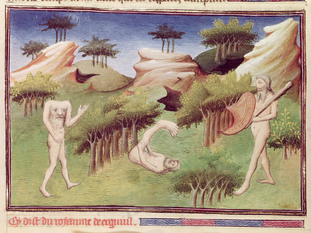 Ms 2810 f.29v, Szörnyek a merkiták földjéről, a "Livre des Merveilles du Monde"-ból, 1410-12 körül (tempera, pergamen). alkotó: Boucicaut Master
